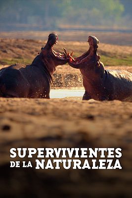 Supervivientes de la naturaleza