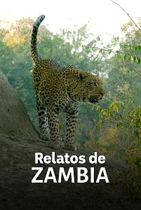 Relatos de Zambia