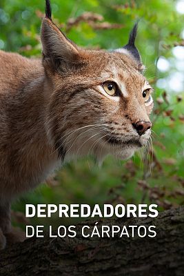 Depredadores de los Cárpatos