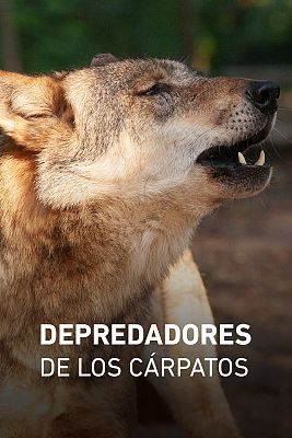 Depredadores de los Cárpatos