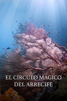 El círculo mágico del arrecife