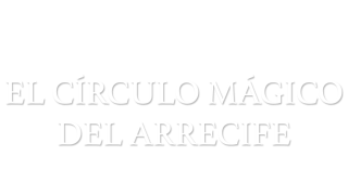 El círculo mágico del arrecife