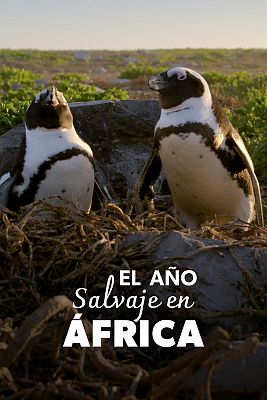El año salvaje en África