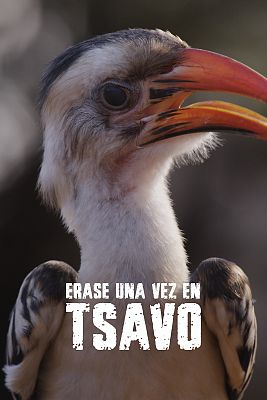 Erase una vez en Tsavo
