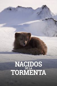 Nacidos de la tormenta