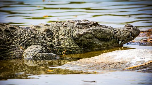 Del amanecer al crepúsculo