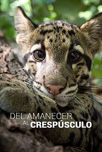 Del amanecer al crepúsculo