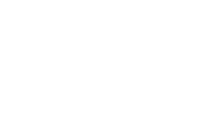 Nuestros árboles