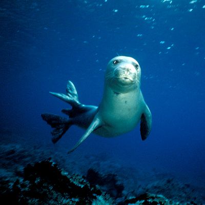 El Mediterráneo, la vida bajo el asedio