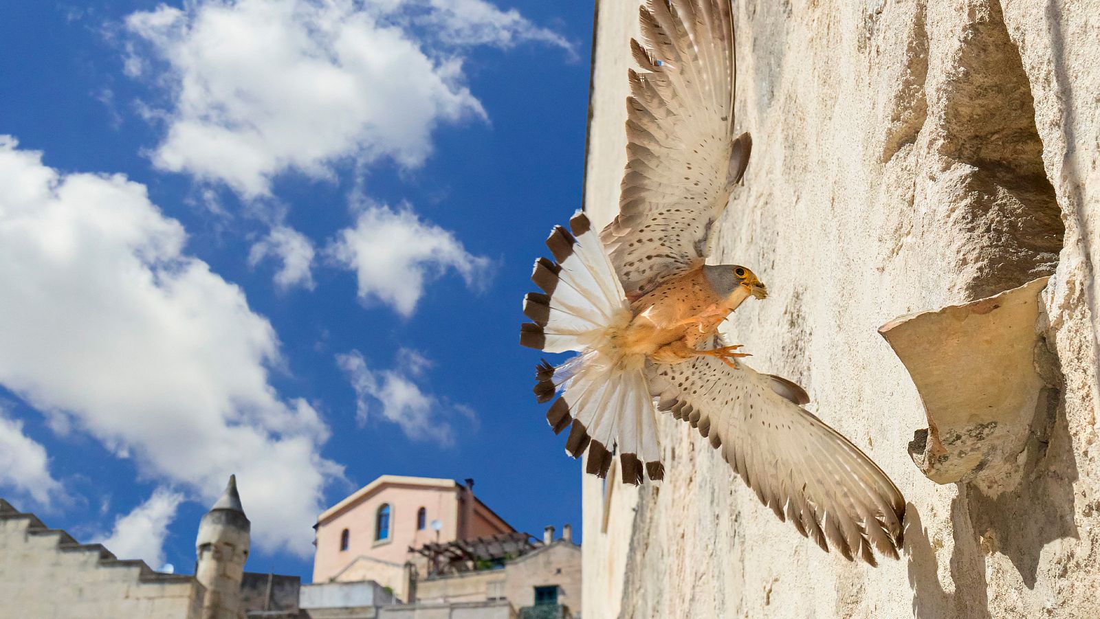 El Mediterráneo, la vida bajo el asedio - Episodio 3: Hacerse adulto - ver ahora