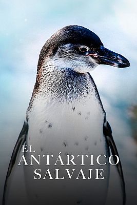 El antártico salvaje
