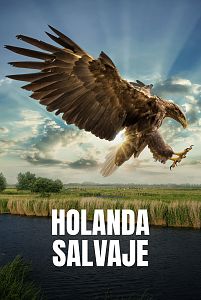 Holanda salvaje