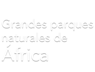 Grandes parques naturales de África