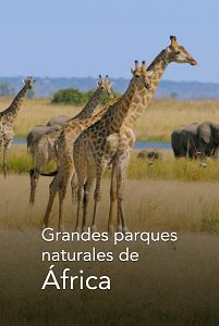 Grandes parques naturales de África