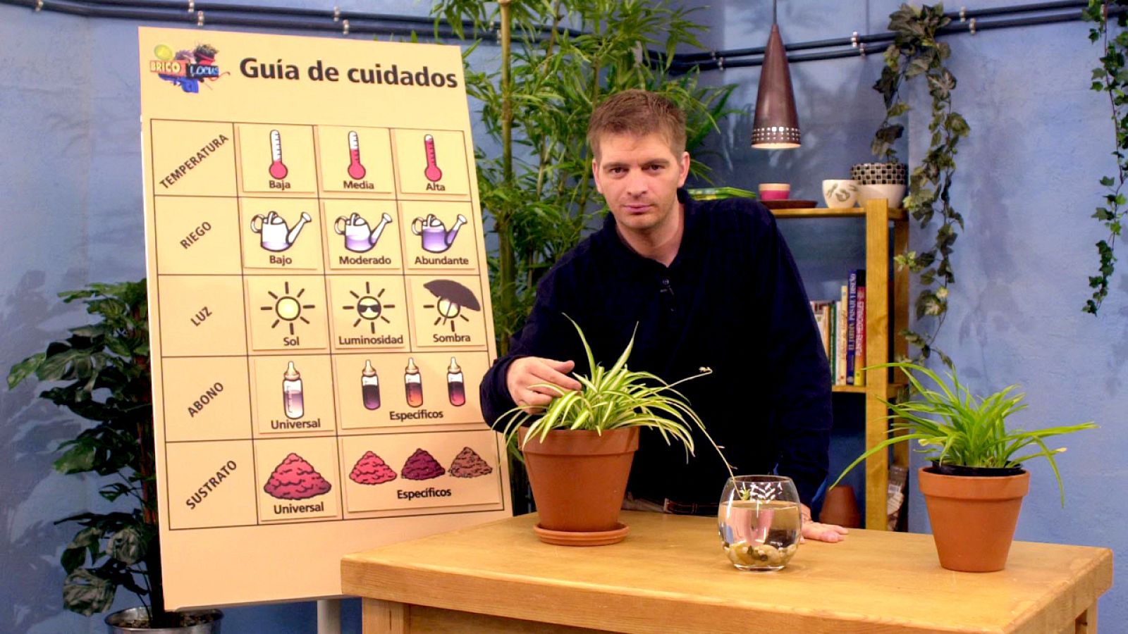 Bricolocus - 25/04/08 - Bricolocus | Ver