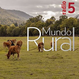 Mundo rural