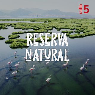 'Reserva natural' con Josefina Maestre