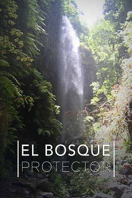 El bosque protector