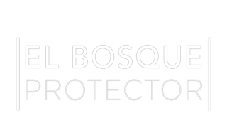 El bosque protector