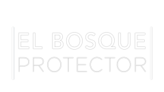 El bosque protector