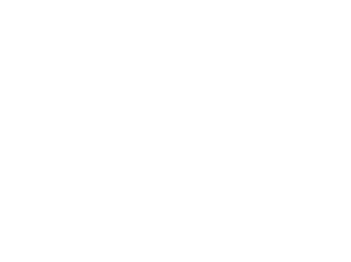 Entre naranjos