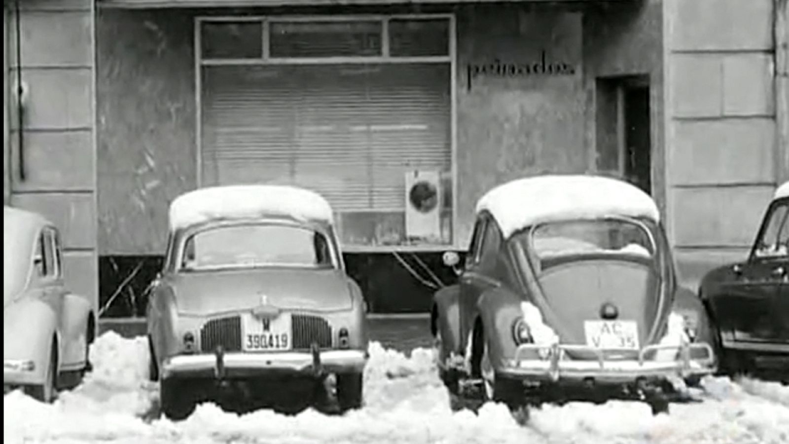 50 años de... pan y circo