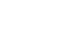 Seguridad vital