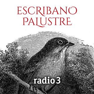 Escribano Palustre con Benito Pinilla