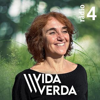 Vida verda