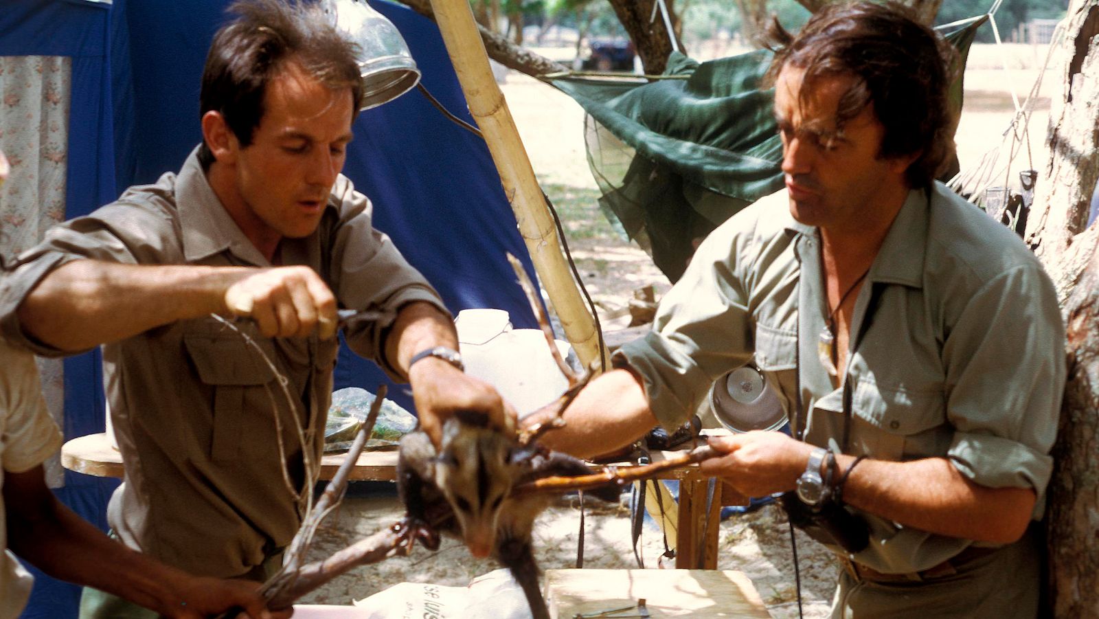 El hombre y la tierra (Serie canadiense) - Nahanni - ver ahora