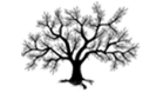 Historias del milenio