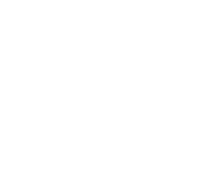 Programa de mano