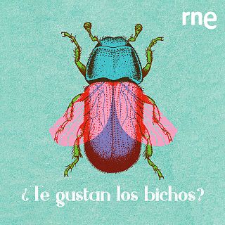 ¿Te gustan los bichos?