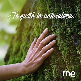 ¿Te gusta la naturaleza?