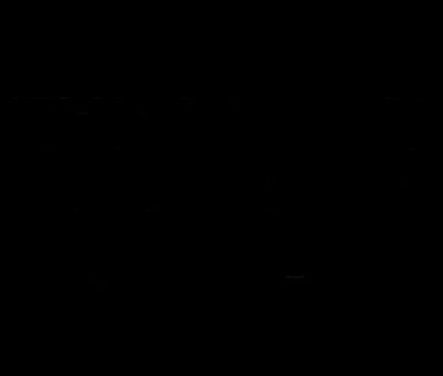 The Black Diamond Race