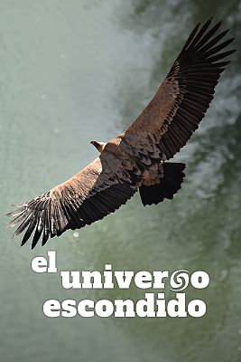 El universo escondido