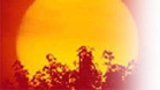 Vietnam, vida tras la muerte