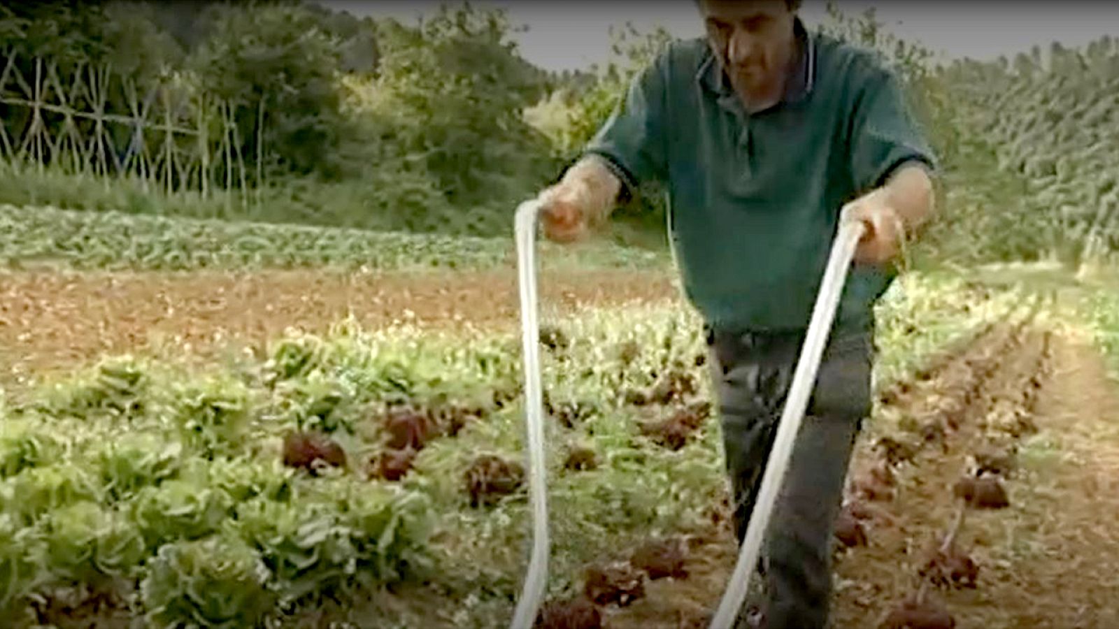 Al natural -  Priorat