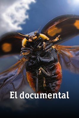 El documental