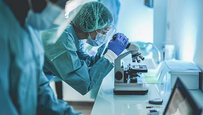 Lo que hay que ver ...