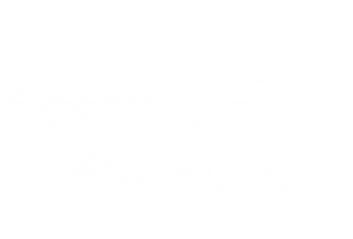 Espíritu flamenco
