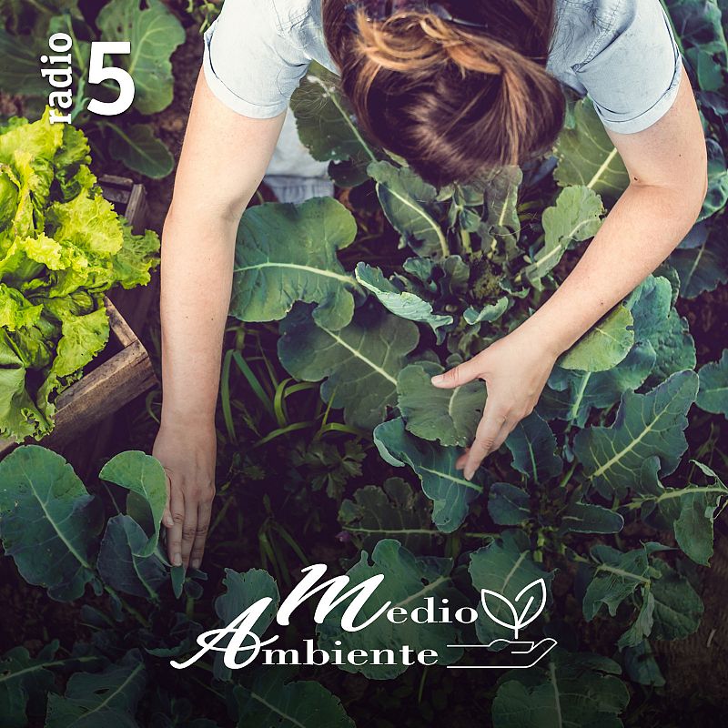 Medio ambiente - Programa sobre ecología en RTVE Play