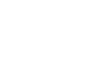 Más que perros y gatos