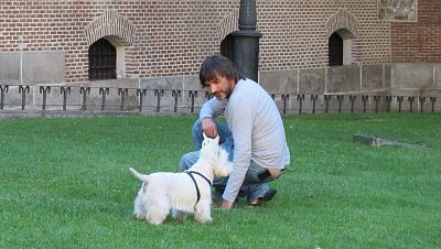 Más que perros y gatos