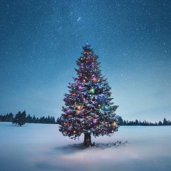 Especiales de Navidad