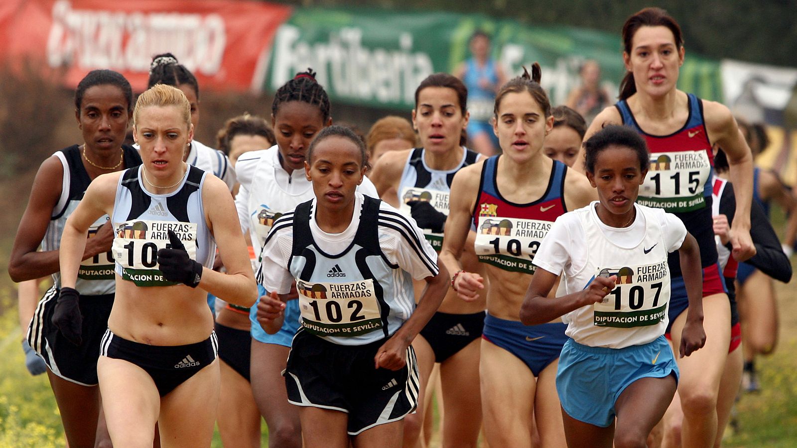 Cross Internacional de Alcobendas. Resumen - Cross | Ver