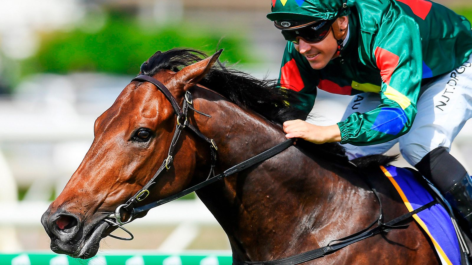 Hípica - Doma SICAB 2025 - Hípica | Ver