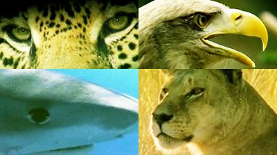 Grandes documentales