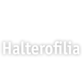 Halterofilia