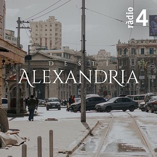 Destí Alexandria